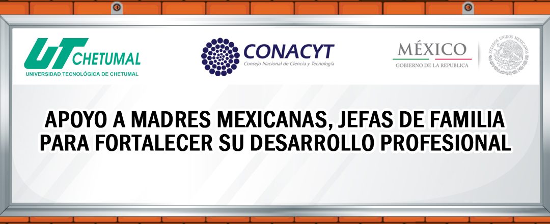 Convocatoria Beca CONACYT