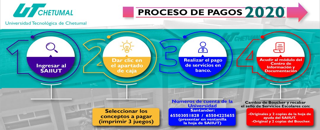 PROCESO DE PAGOS 2020